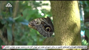 موزیک ویدئو خوشبختی محض