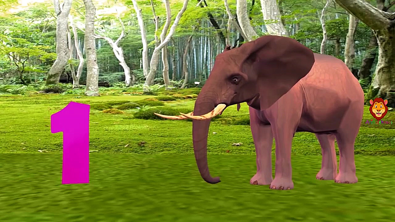 Animal Sounds Video For Kids | Animal Finger Family Songs | Old Mcdonald And More Nursery Rhymes زمان1899ثانیه