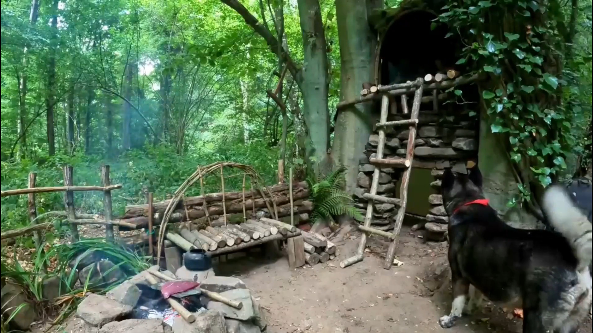 ساخت کلبه درختی دوبلکس در جنگل...