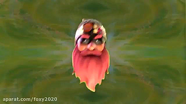 فناف خنددار