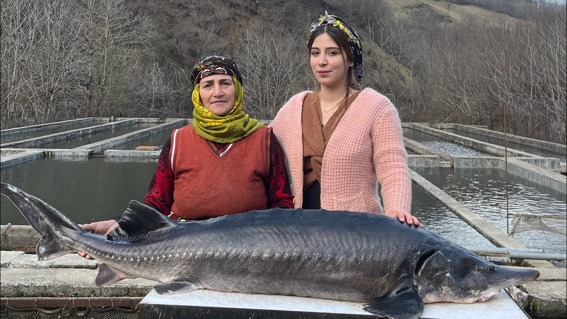 کباب کردن ماهی بزرگ در تنور با...