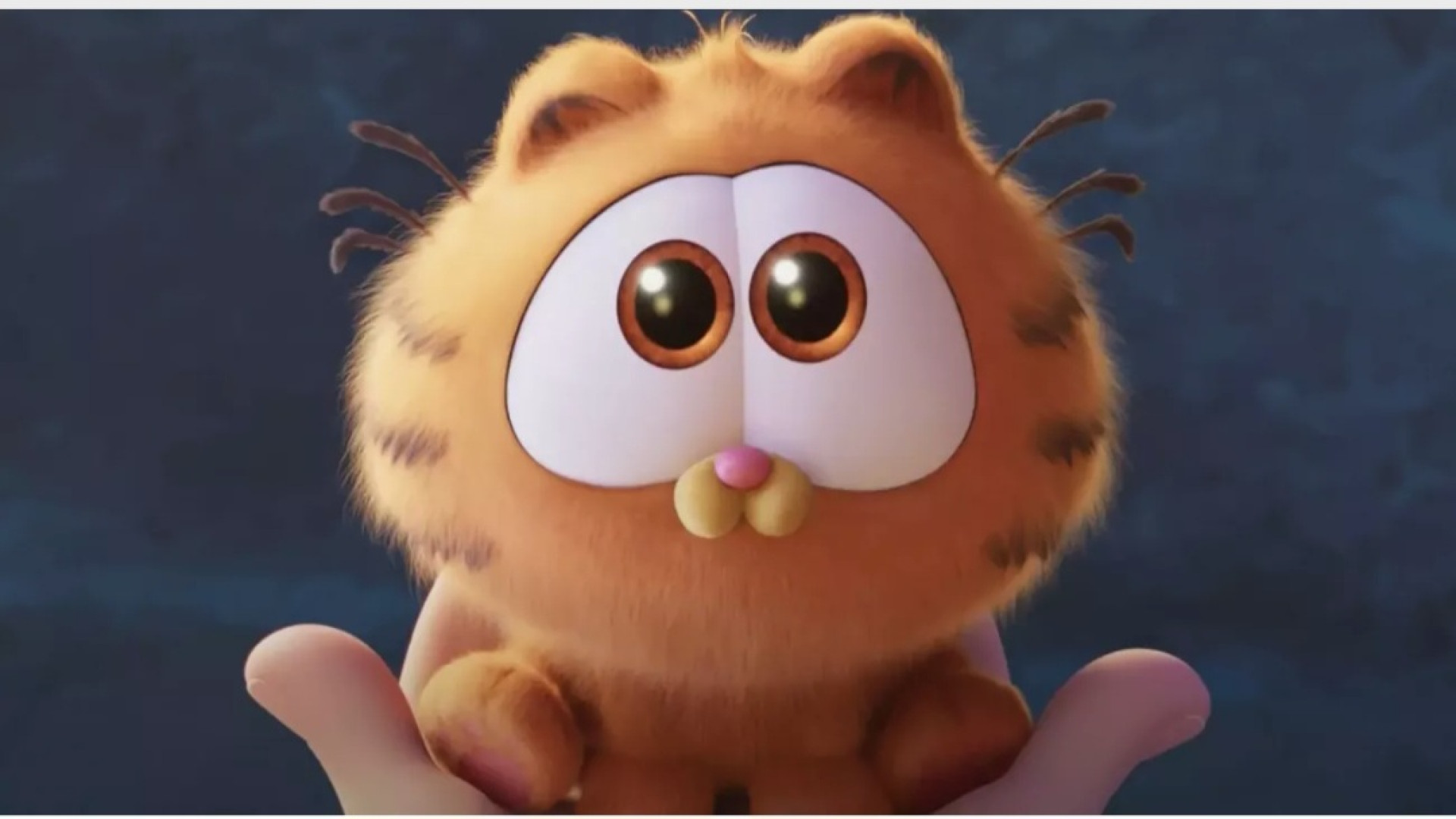 عکس گارفیلد