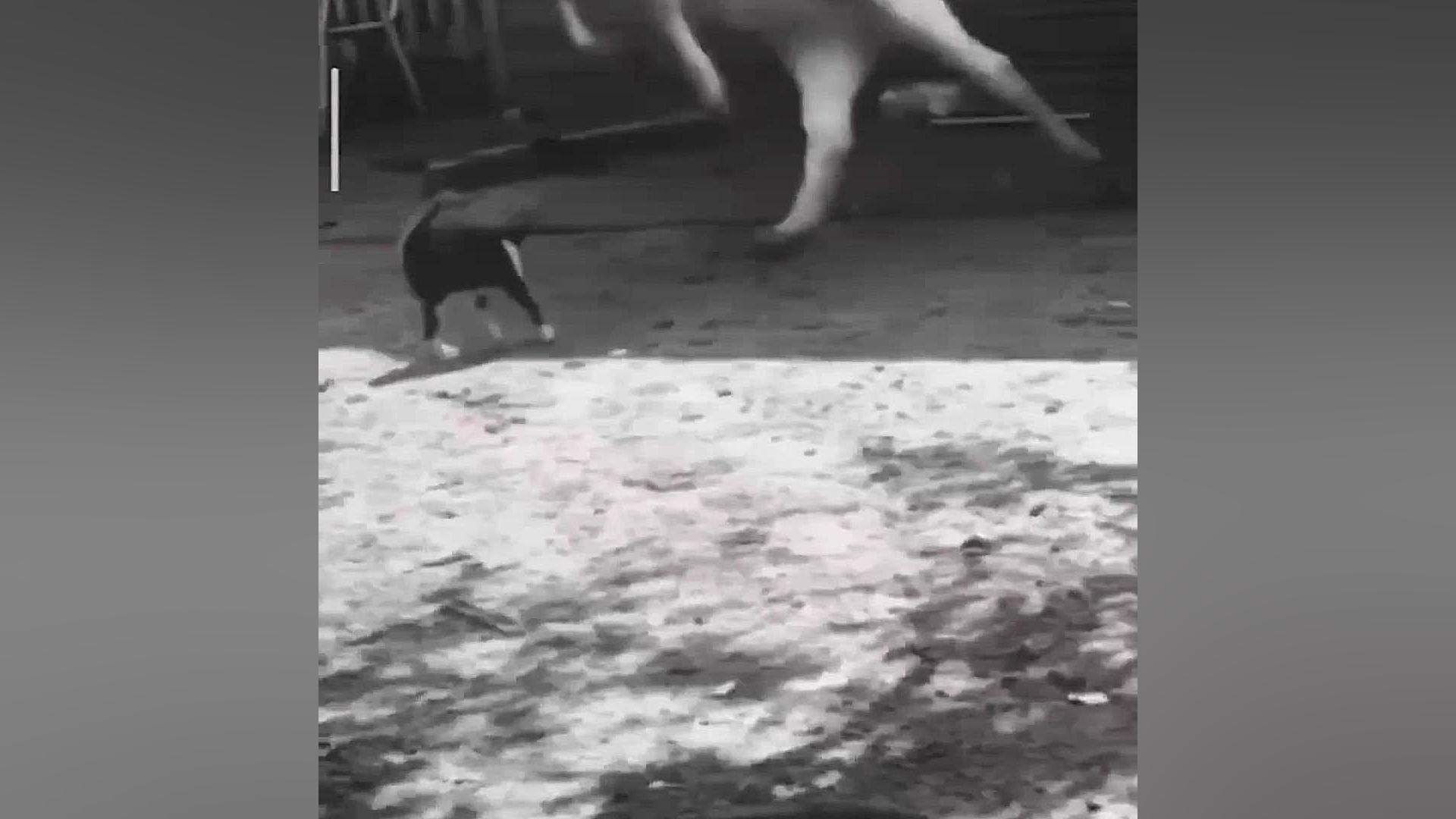 صدا گذاری من