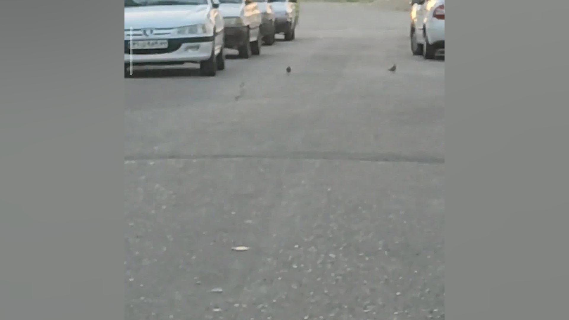 صدا گذاری من