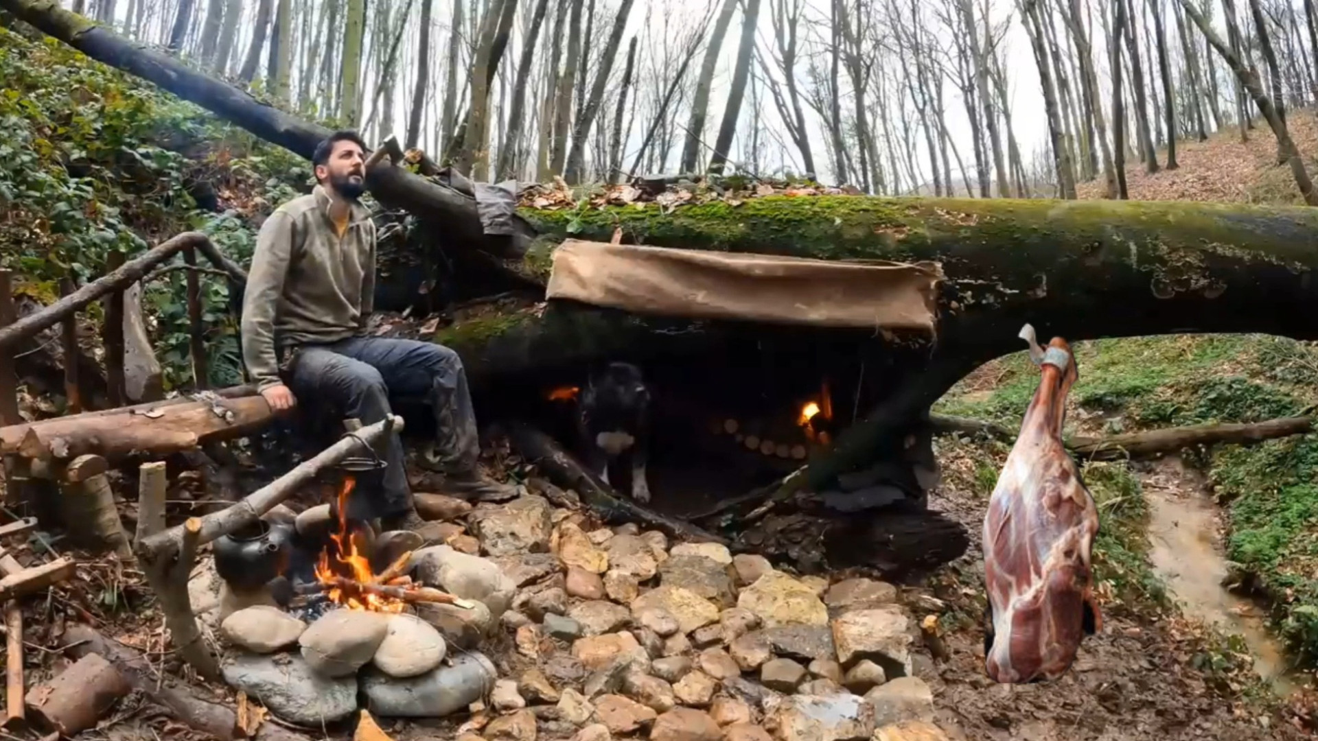 کمپینگ و ساخت پناهگاه در تنه ی...