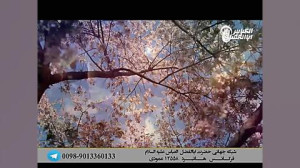 بسیار زیبا مدح مولا امیرالمومن...