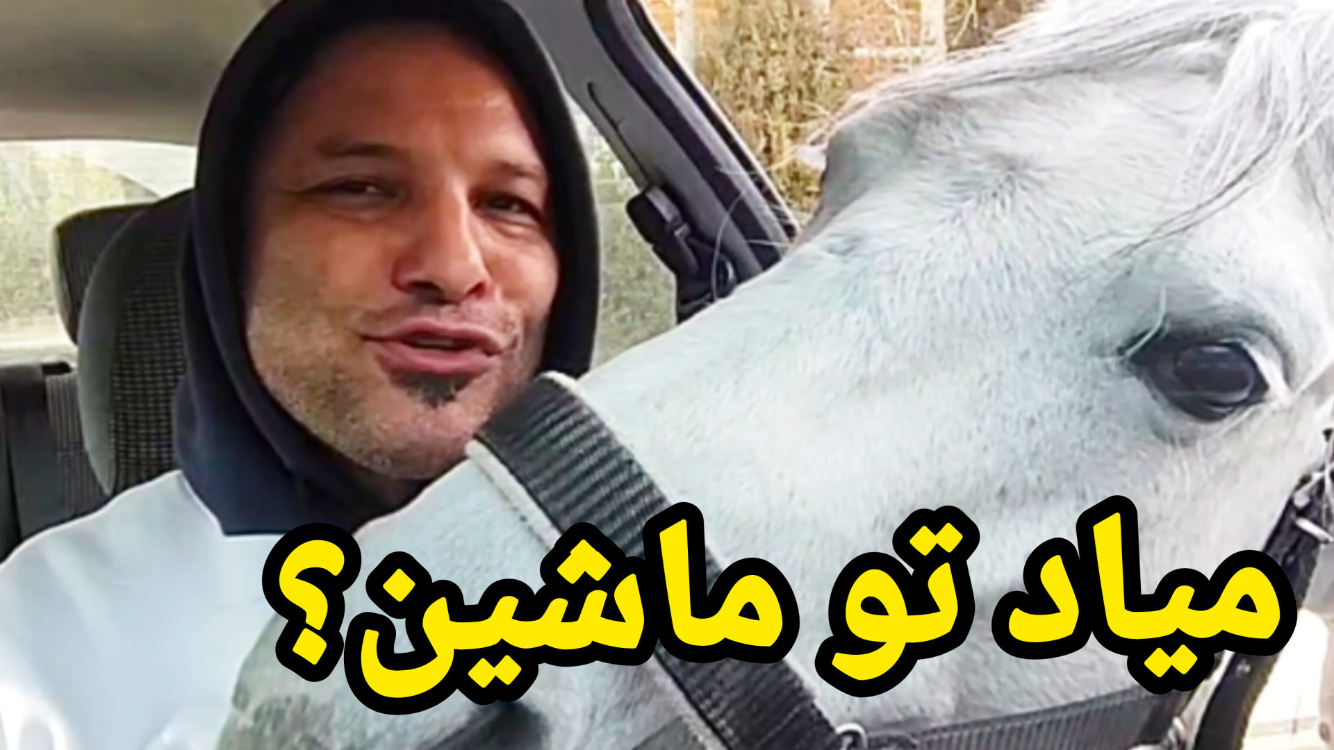 میاد تو ماشین؟