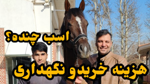 قیمت اسب و هزینه نگهداری چقدره...
