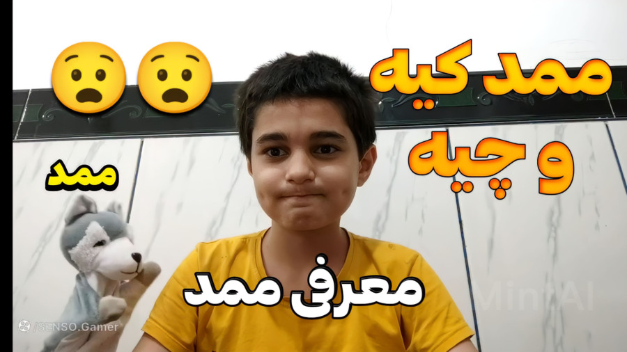 ممد کیه و چیه?معرفی ممد!گرگعلی