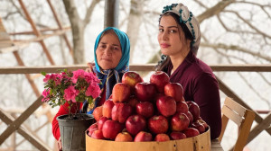 کلوچه های سیب زیبا و خوشمزه، ی...
