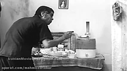 دیالوگ های درخشان  گوزن ها