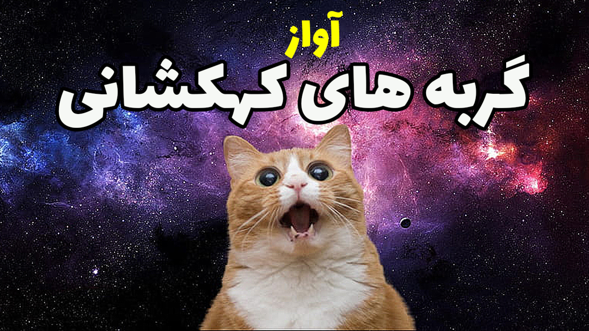 آواز گربه های کهکشانی