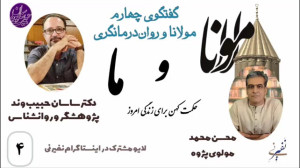 مولانا و رواندرمانگری