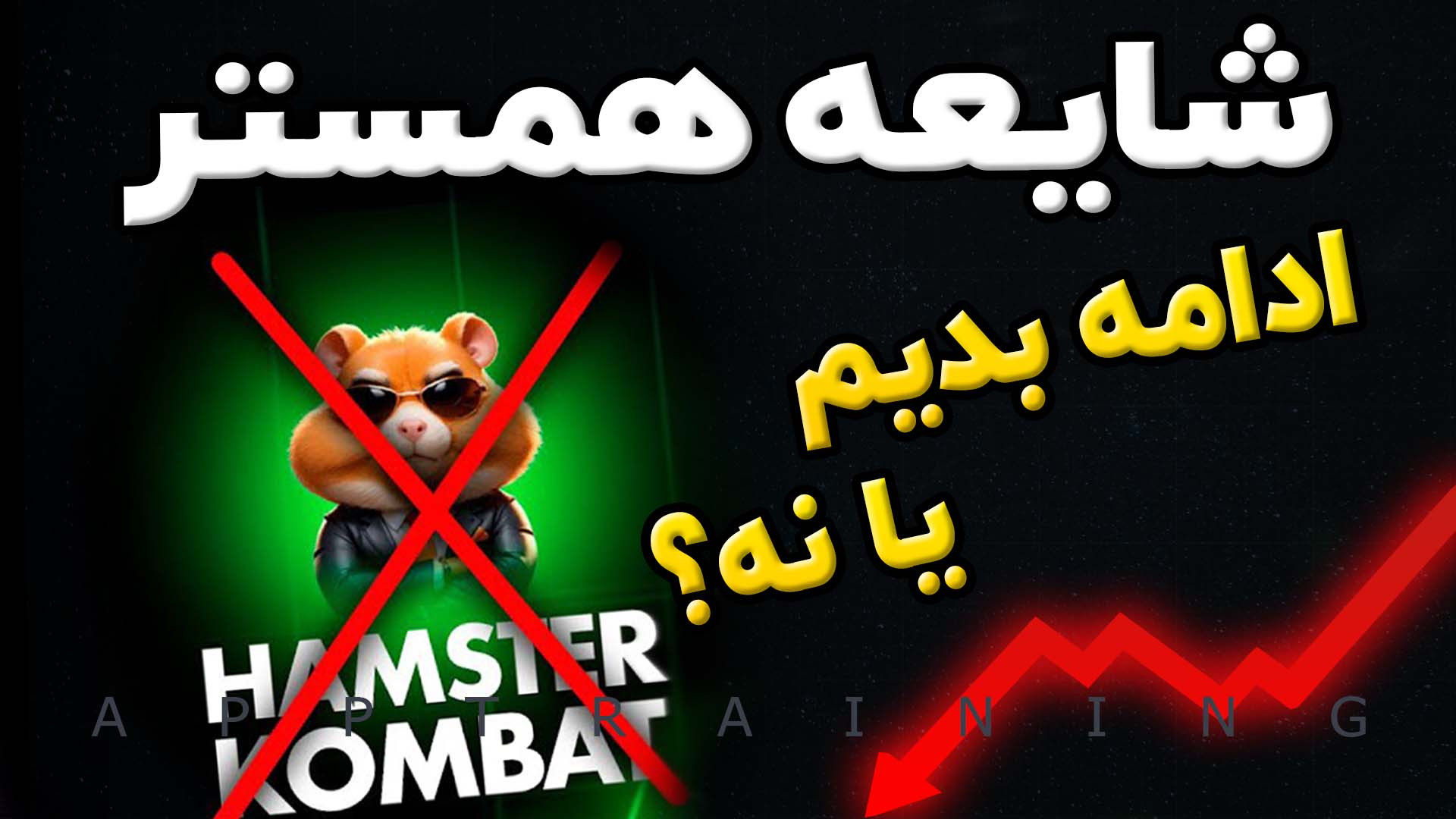 همستر کلاهبرداره؟ همستر کامبت...