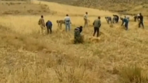 رسمی پسندیده در روستاهای خراسا...