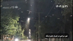 آفت به جان سرخس افتاد