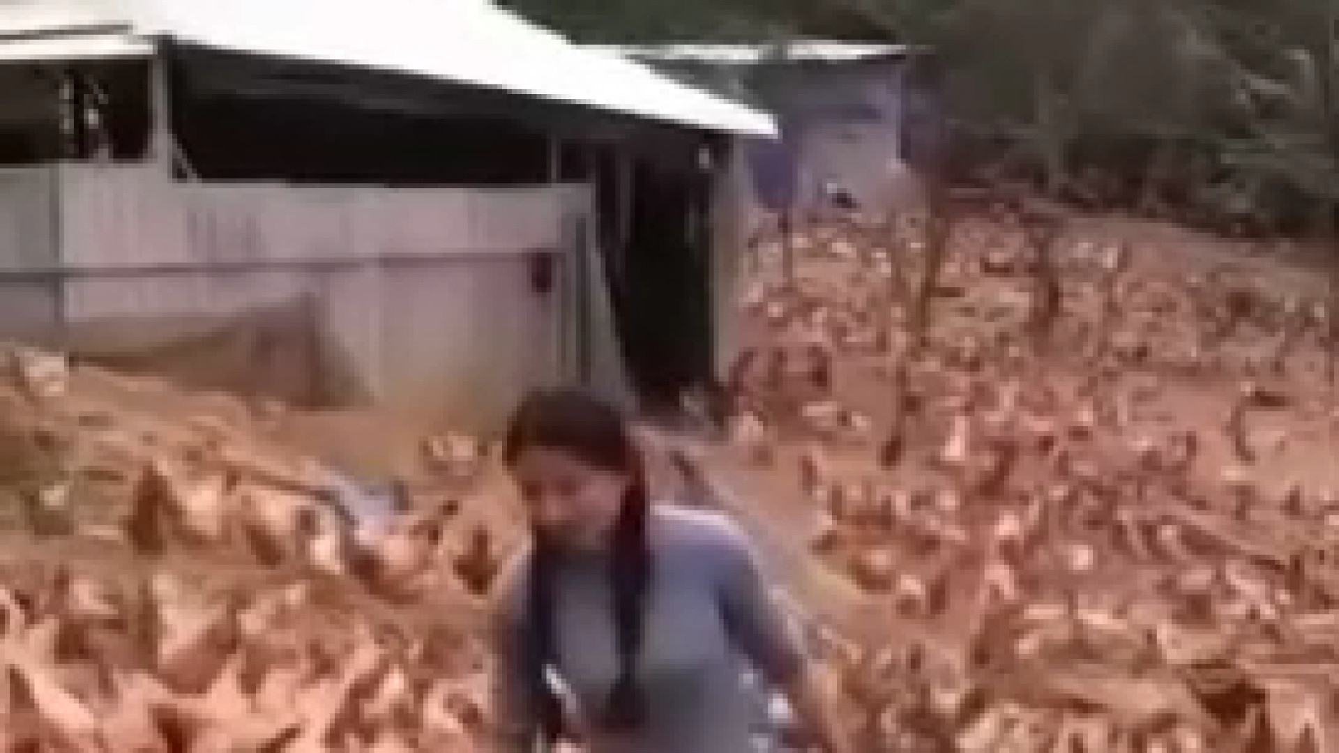 بزرگترین مزرعه سنتی تولید تخم‌...