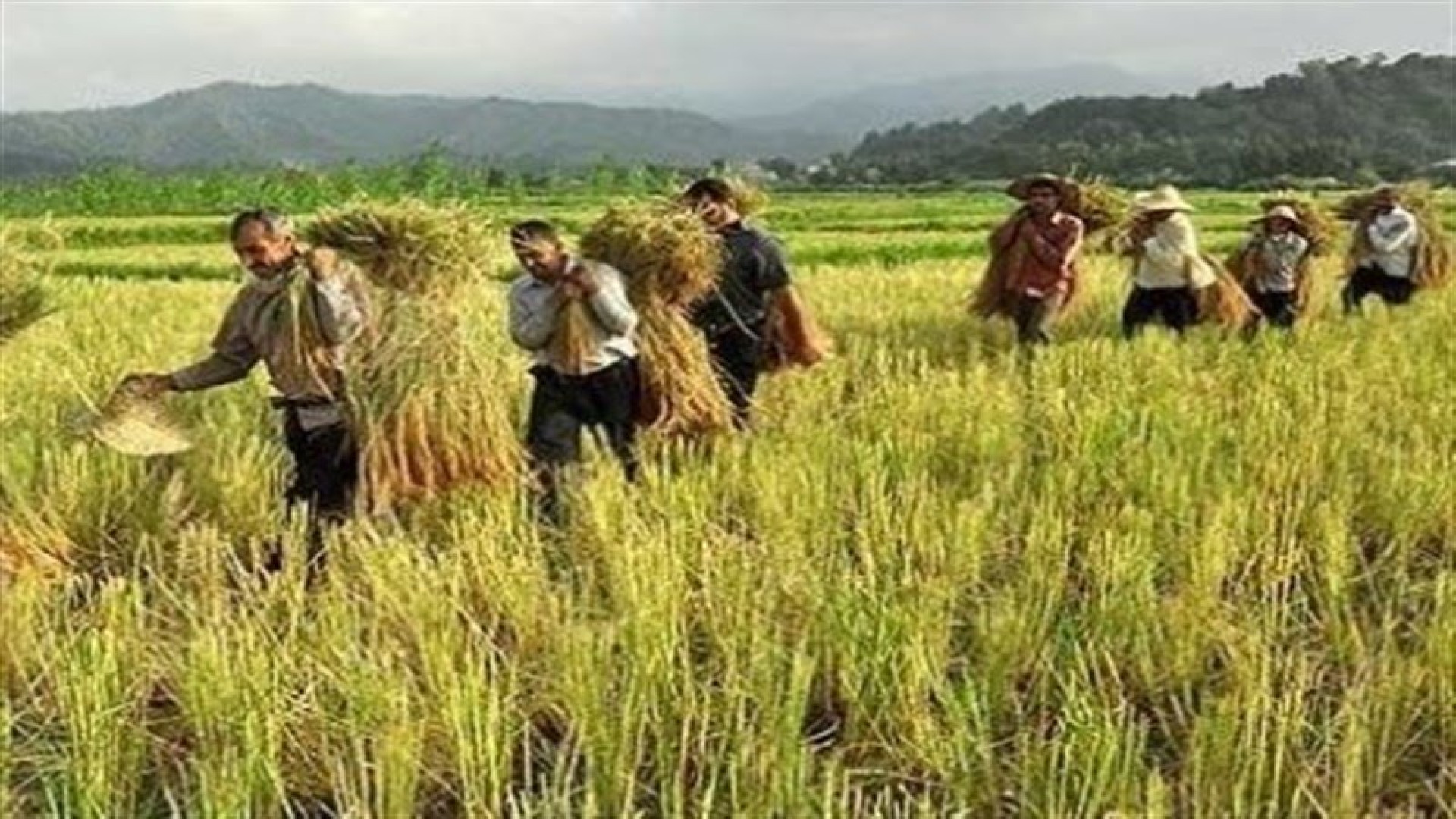 وزیر جهاد کشاورزی درباره حقوق...