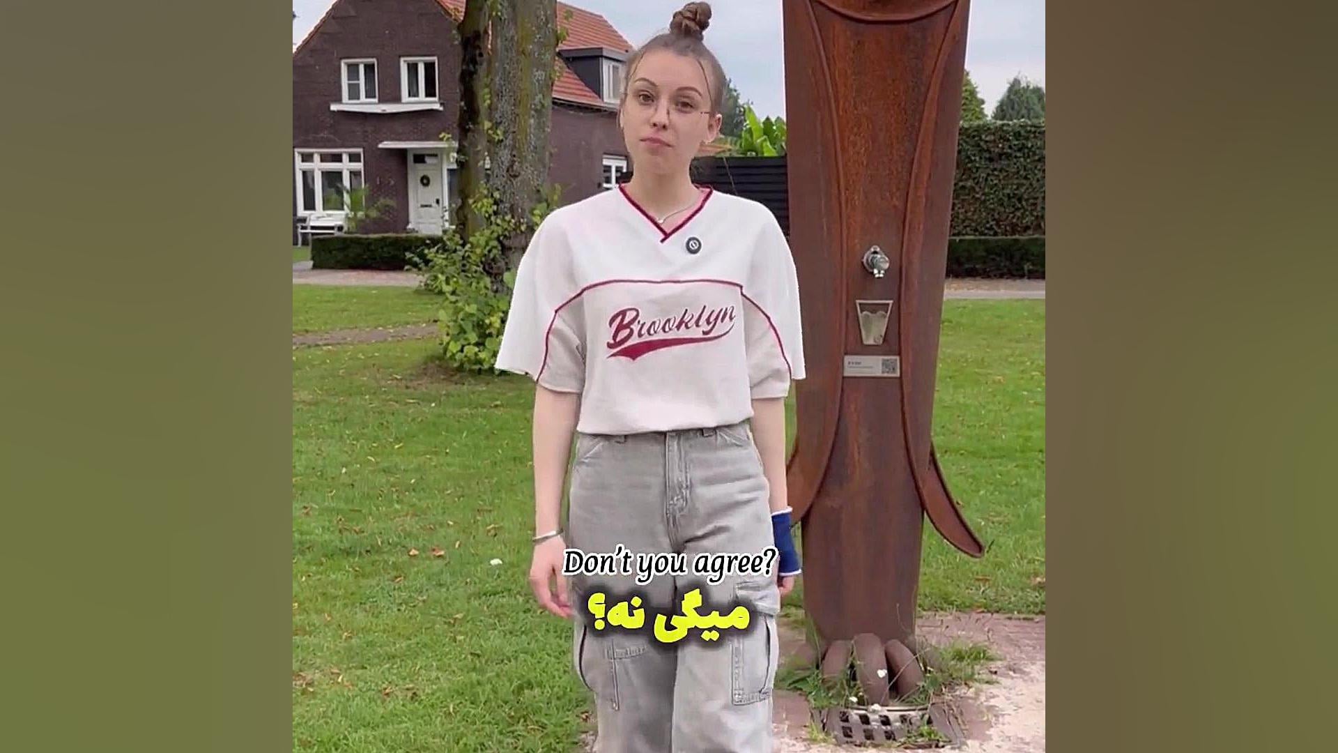 از عجایب زبان فارسی برای خارجیا