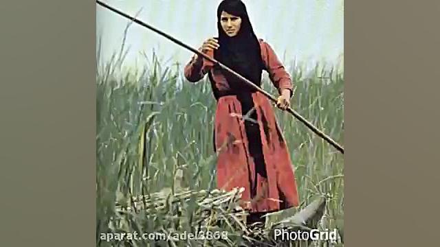 ساجده اعبید