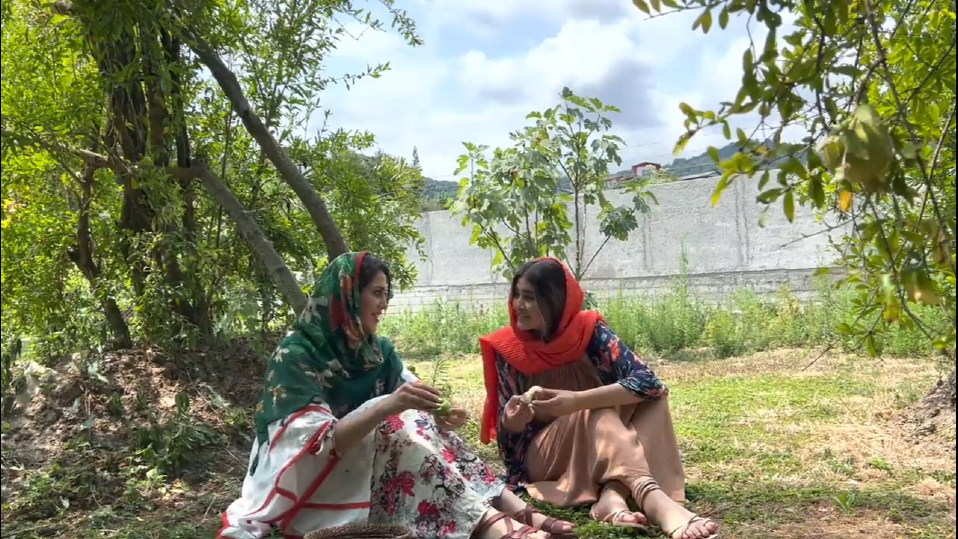 تهیه ترشی آلو وحشی ملس برای پخ...