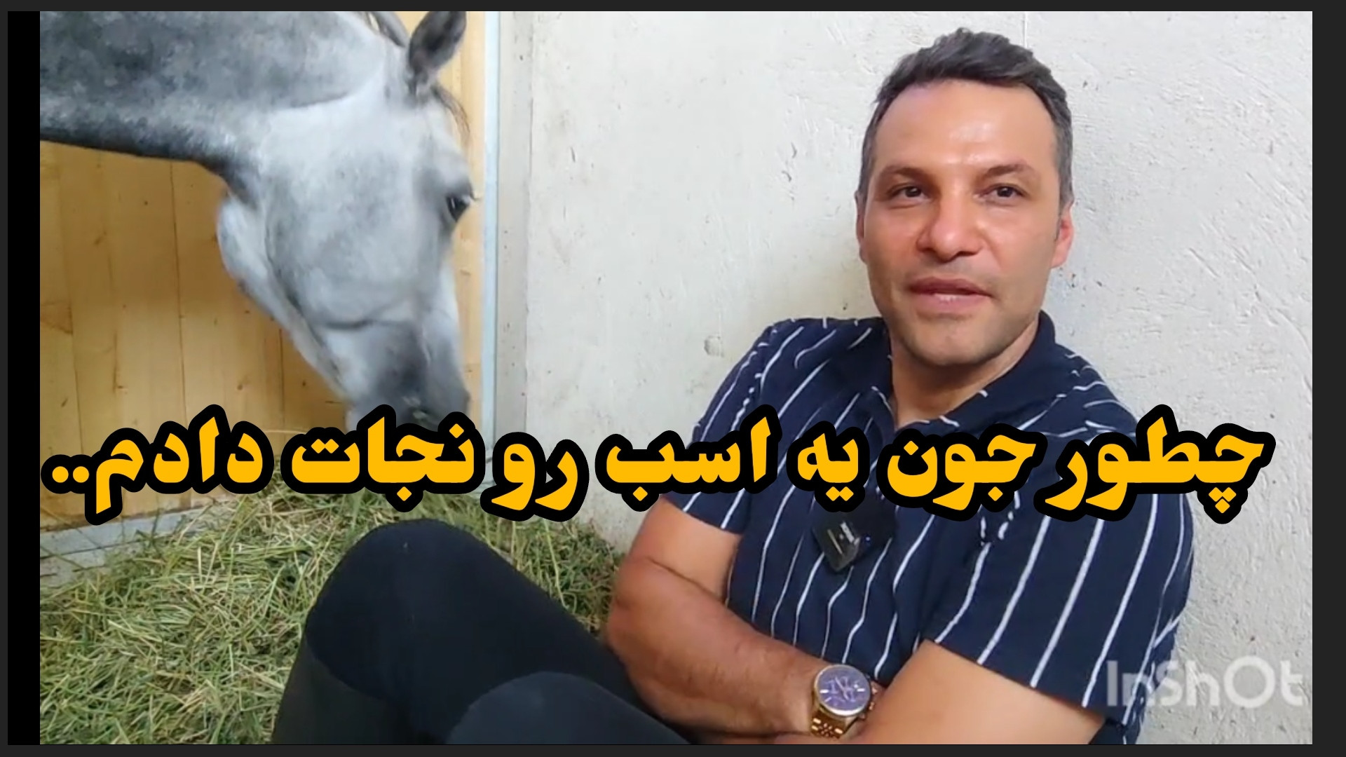 نجات جون یه اسب