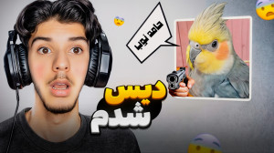 دیس شدم ! اسم خودم رو توی گوگل...