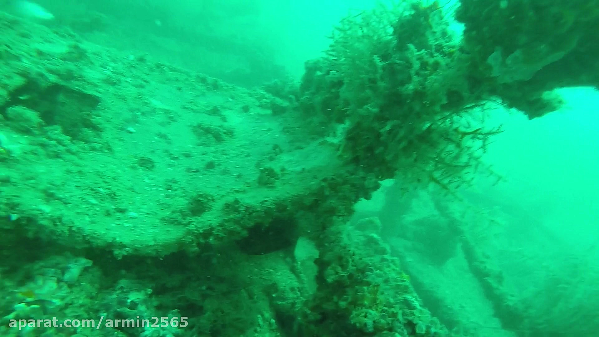 طبیعت زیبای زیر آب اسکله سوزا...