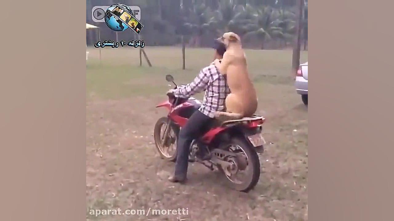 نشستم داداش بریم