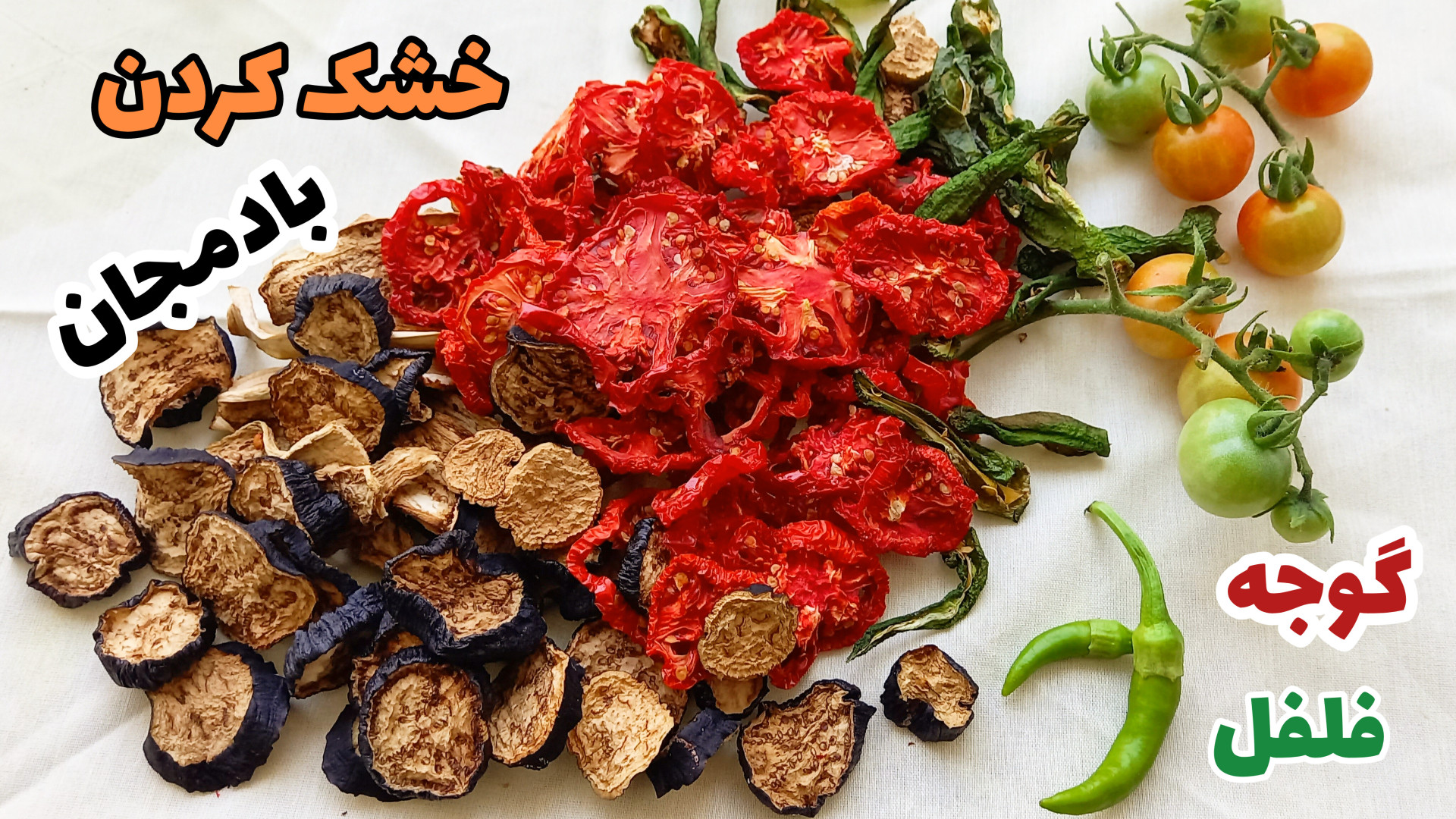 آموزش خشک کردن گوجه  خشک کردن...