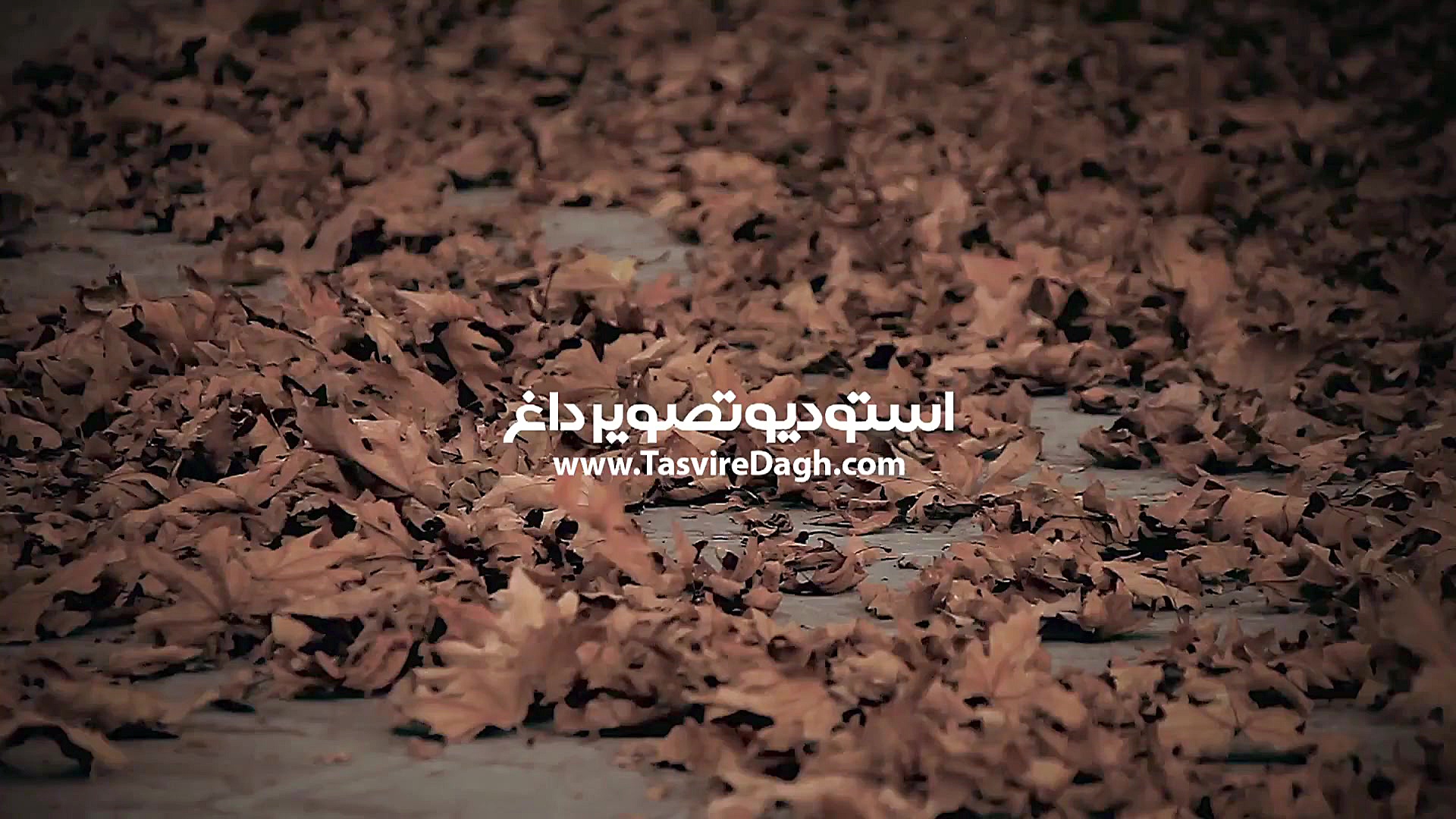 کلیپ زیبای پاییزی عروس و داماد...