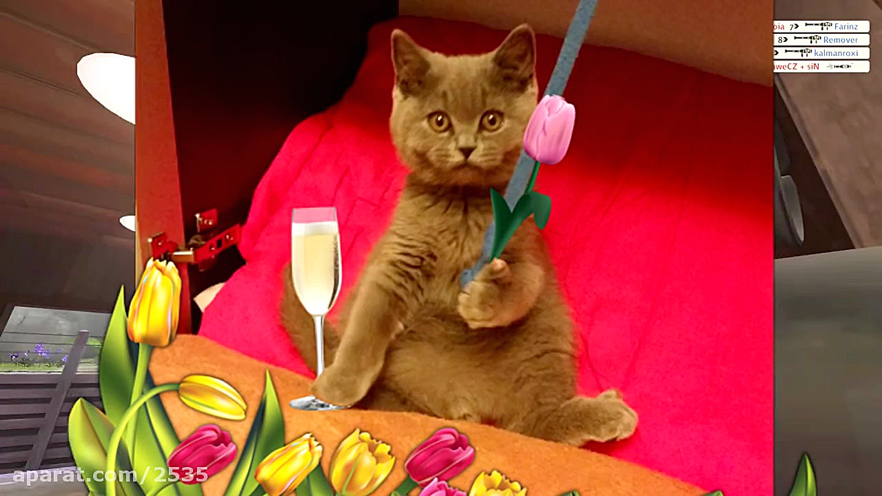 DATE NIGHT (Story Time)  NISLT