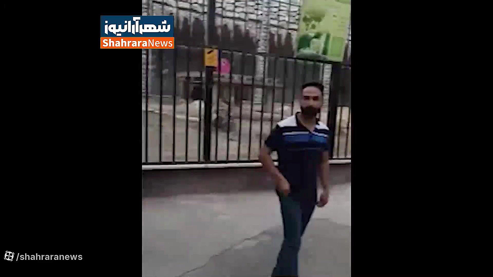 حمله شیر نر باغ وحش ارم تهران...