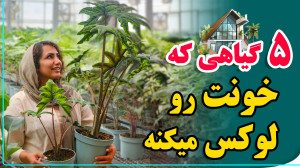 اگه میخوای خونت متفاوت باشه،...