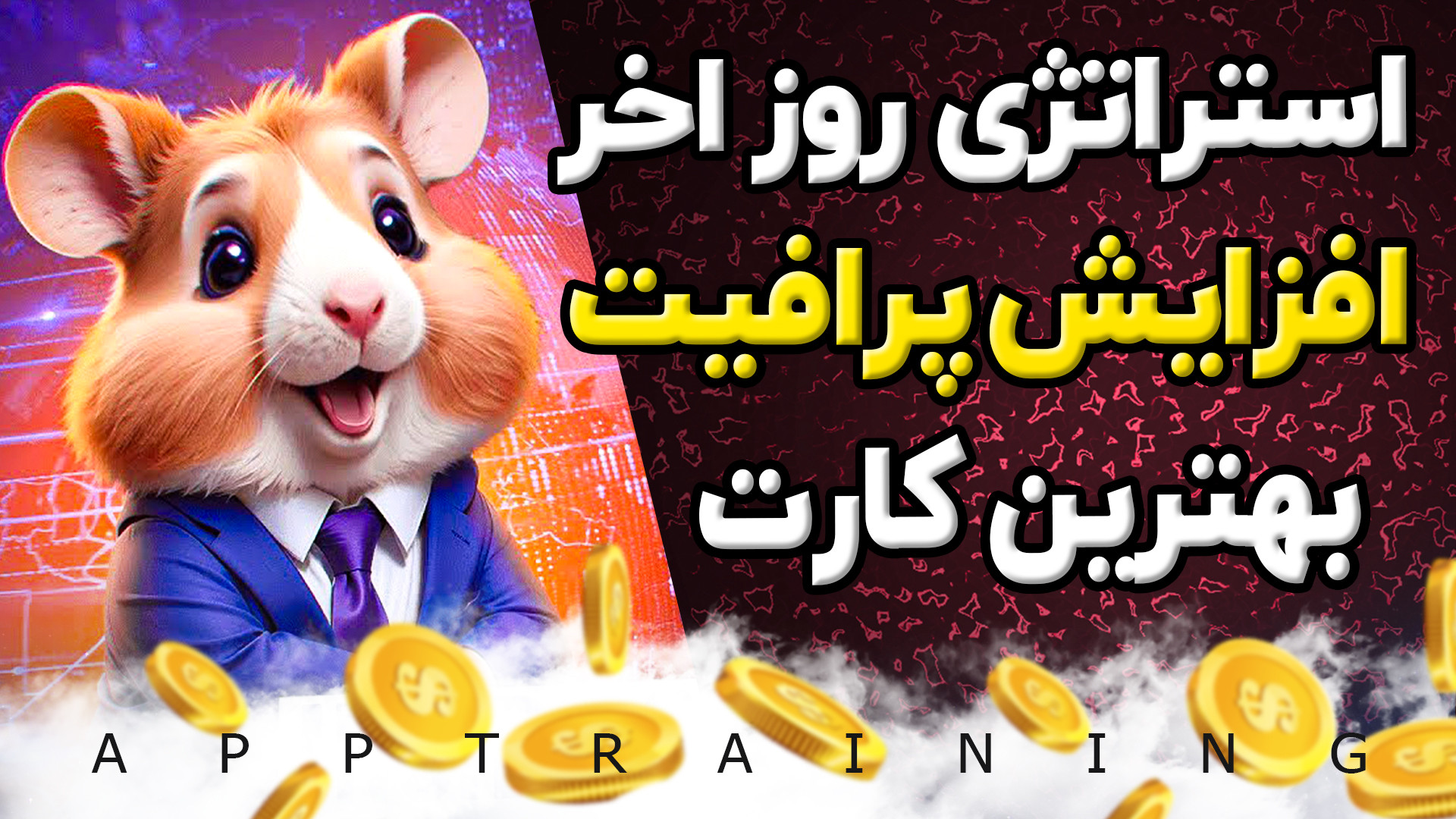 استراتژی روز آخر همستر کمبت |...