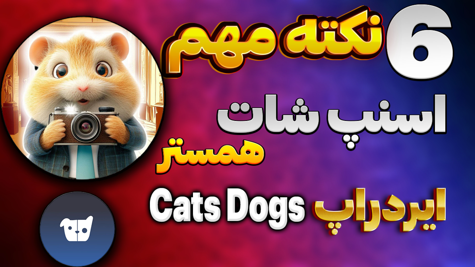 6 نکته مهم برای اسنپ شات همستر...