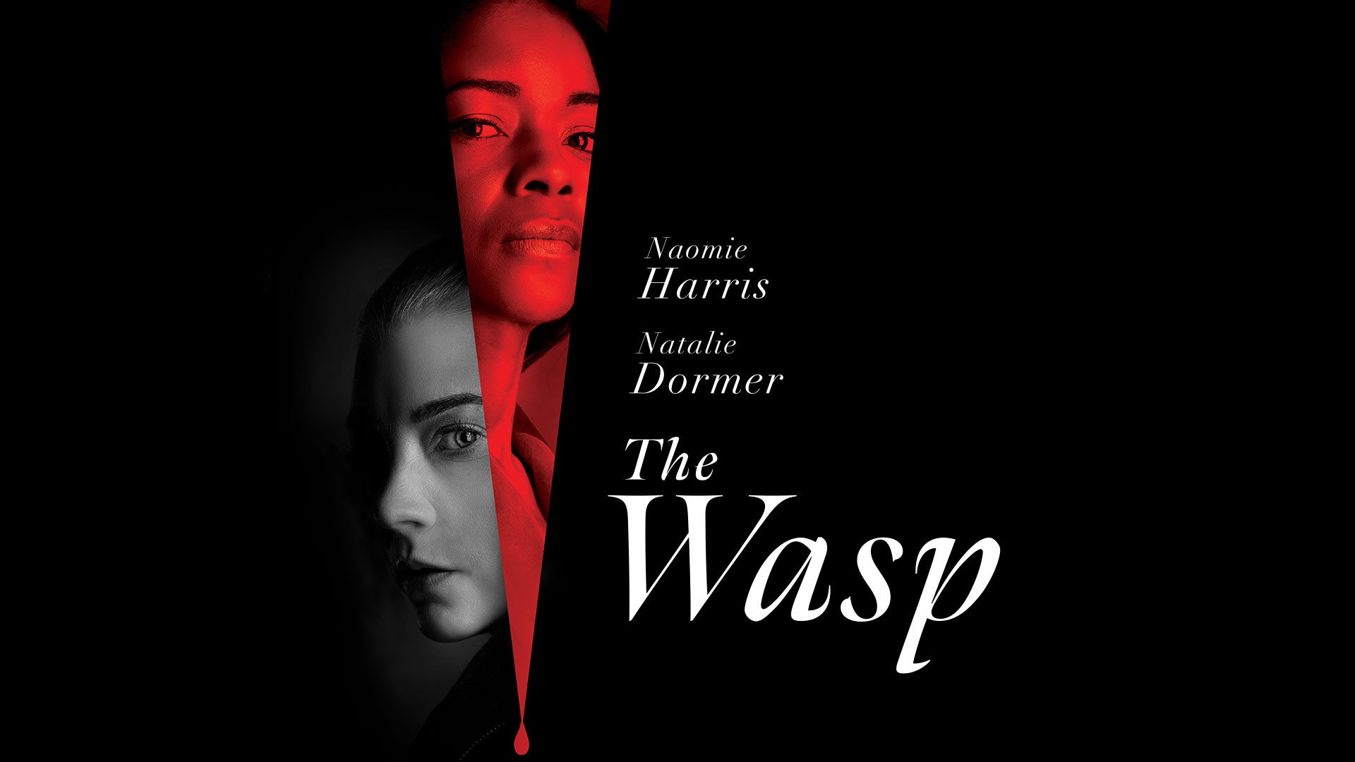فیلم اکشن زنبور دوبله فارسی - The Wasp 2024 - دانلود فیلم اکشن جدید زمان5256ثانیه