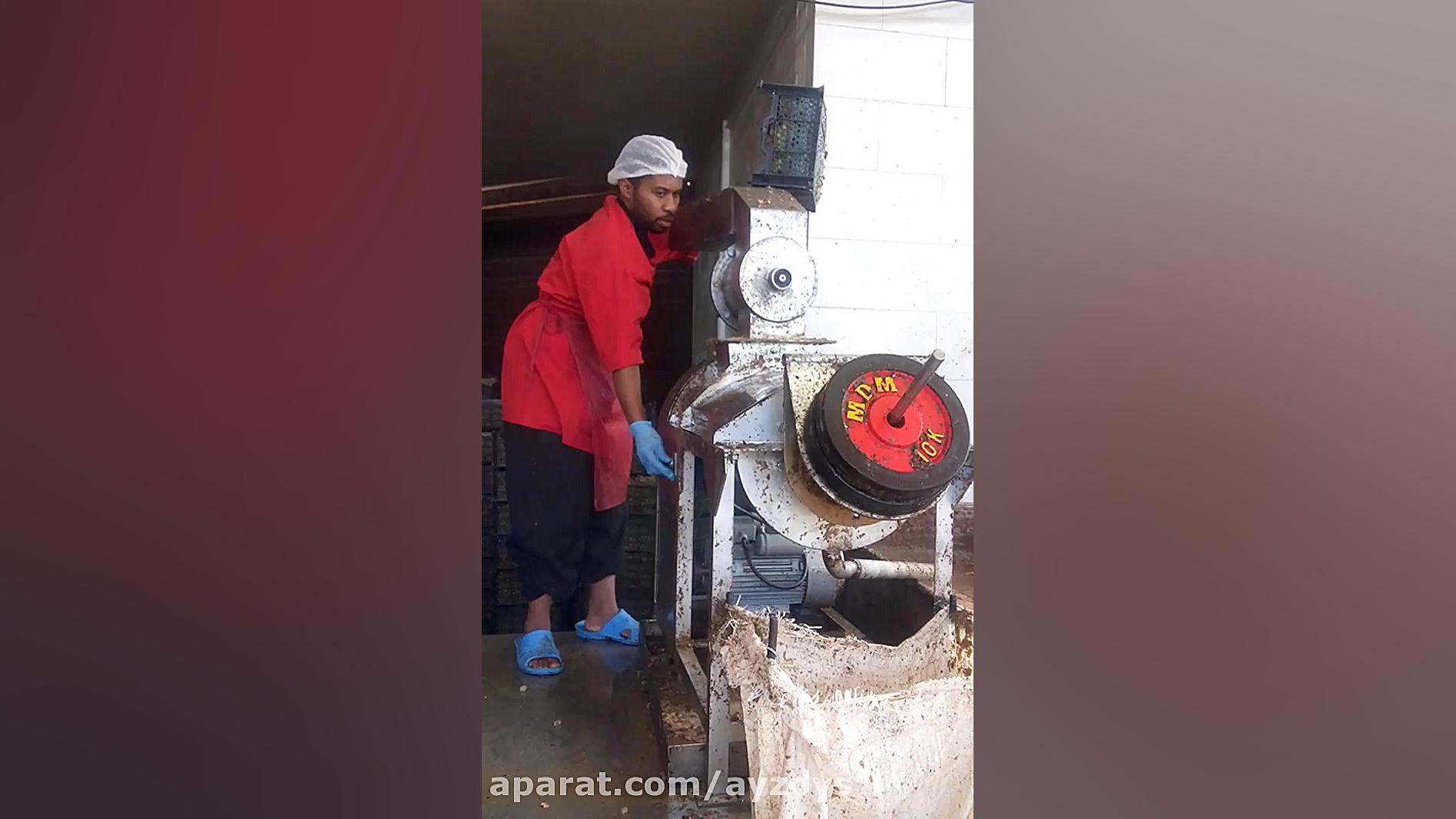 دستگاه اب انگور گیری