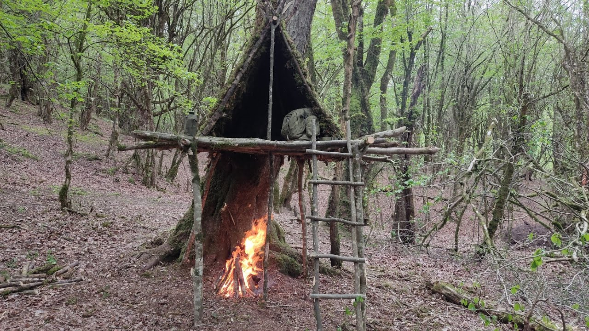 ساختن پناهگاه خانه درختی کوچک...