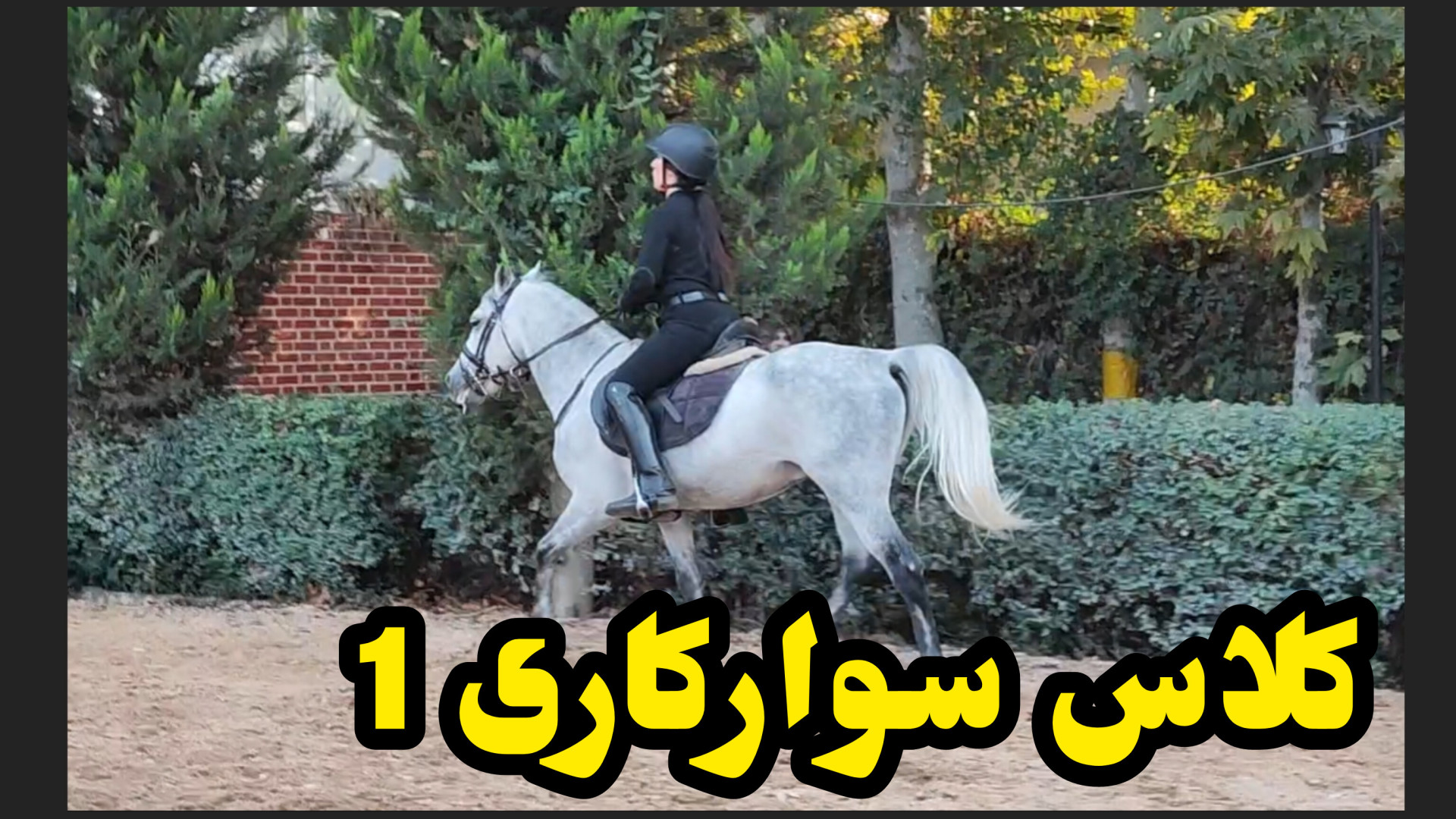 کلاس سوارکاری مبتدی 1