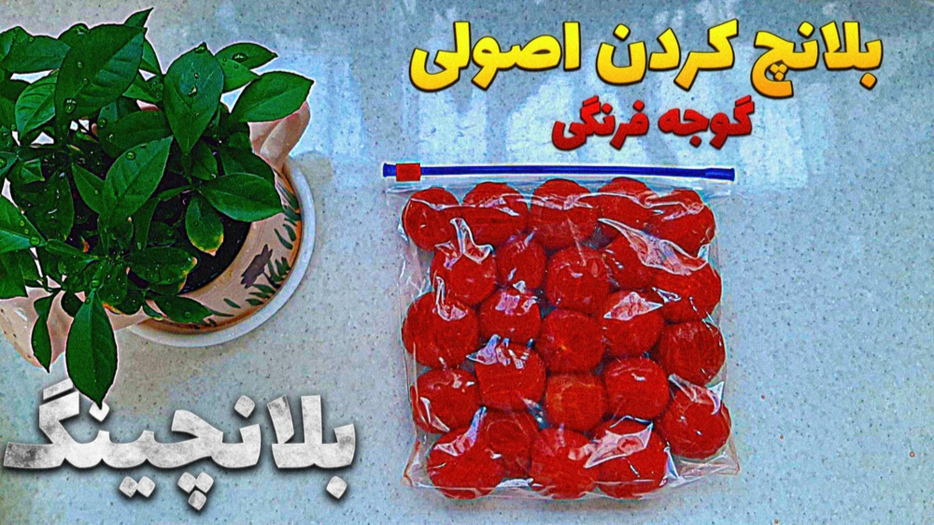 آموزش بلانچ کردن گوجه فرنگی به...