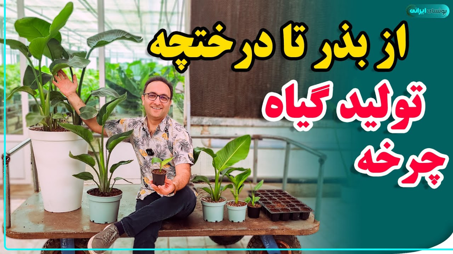 راز تولید گیاهان منحصر به فرد...