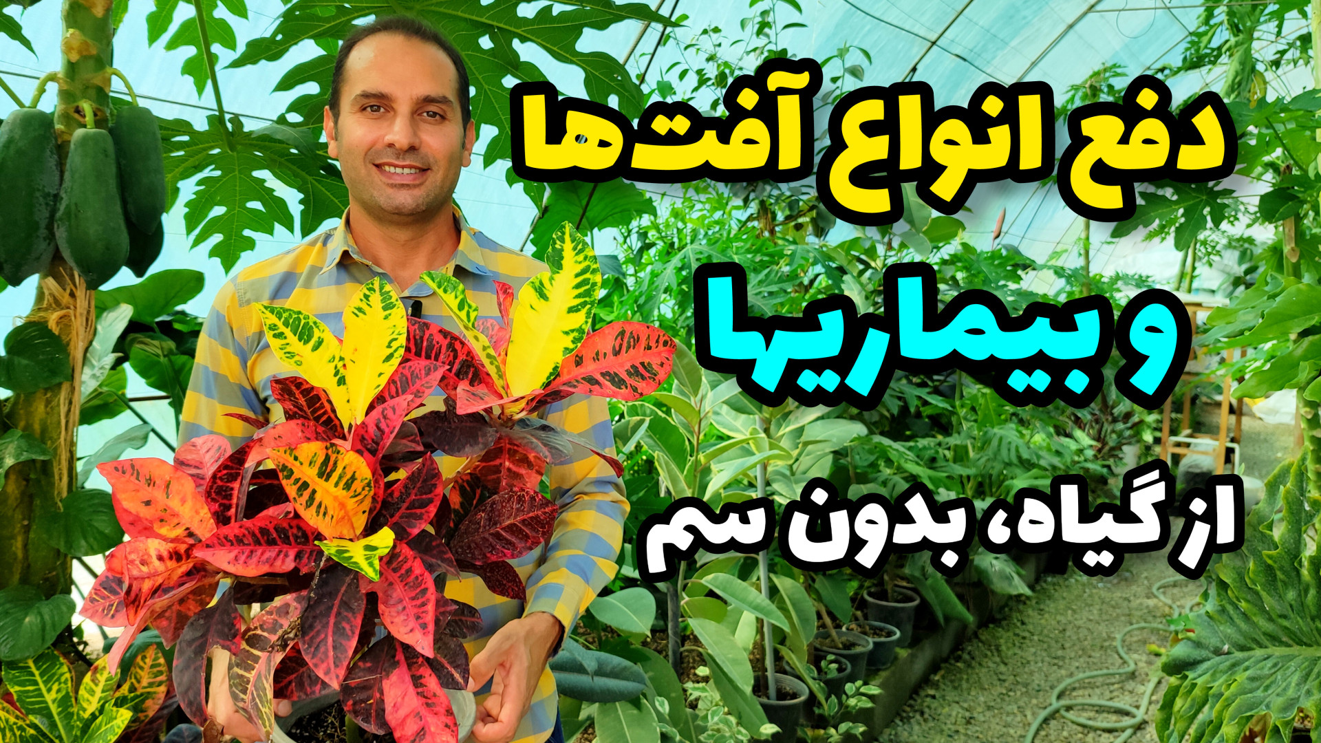 چطوری انواع آفت‌ها و بیماری قا...