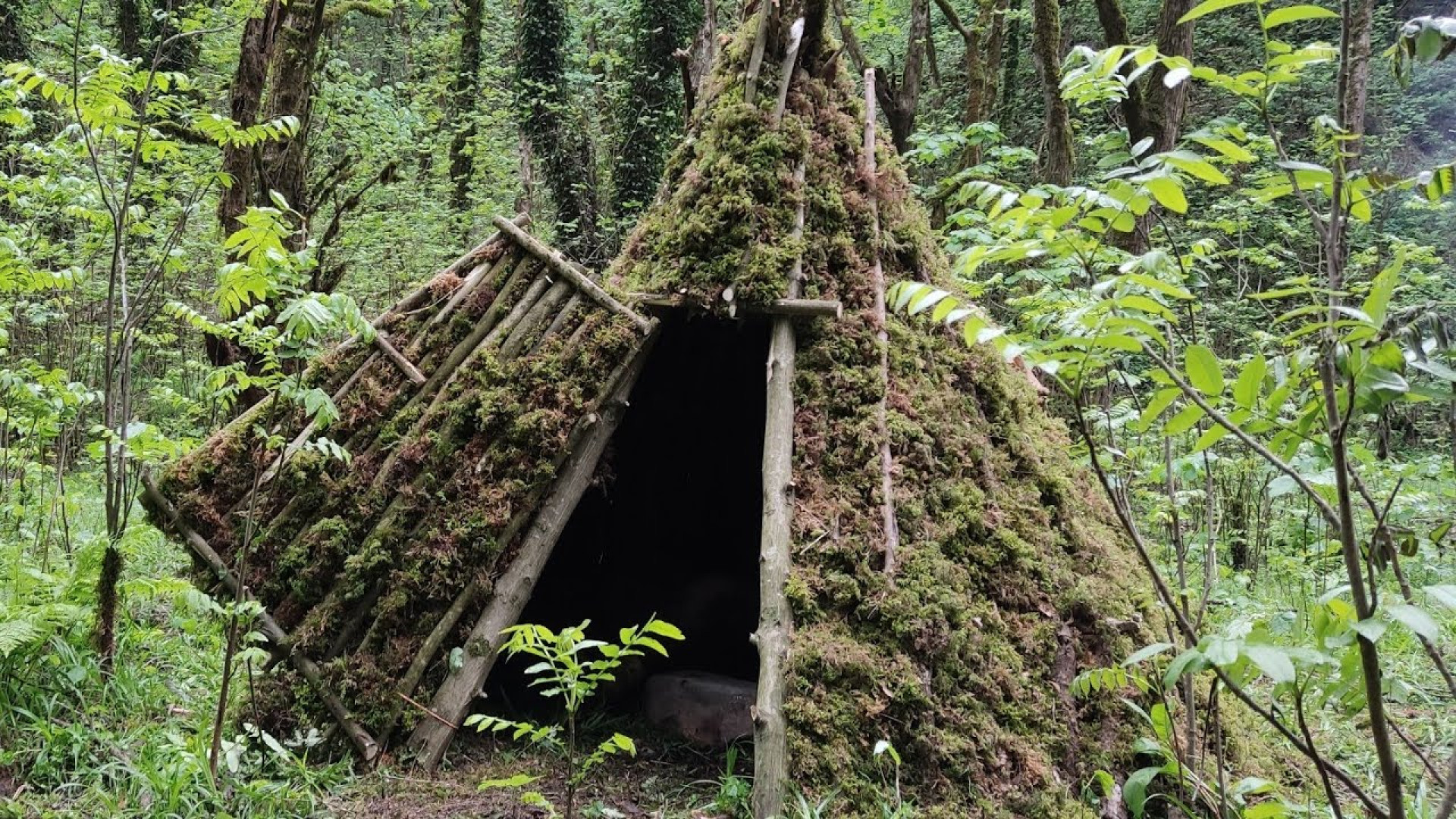 ساخت پناهگاه در وسط جنگل  وبلا...