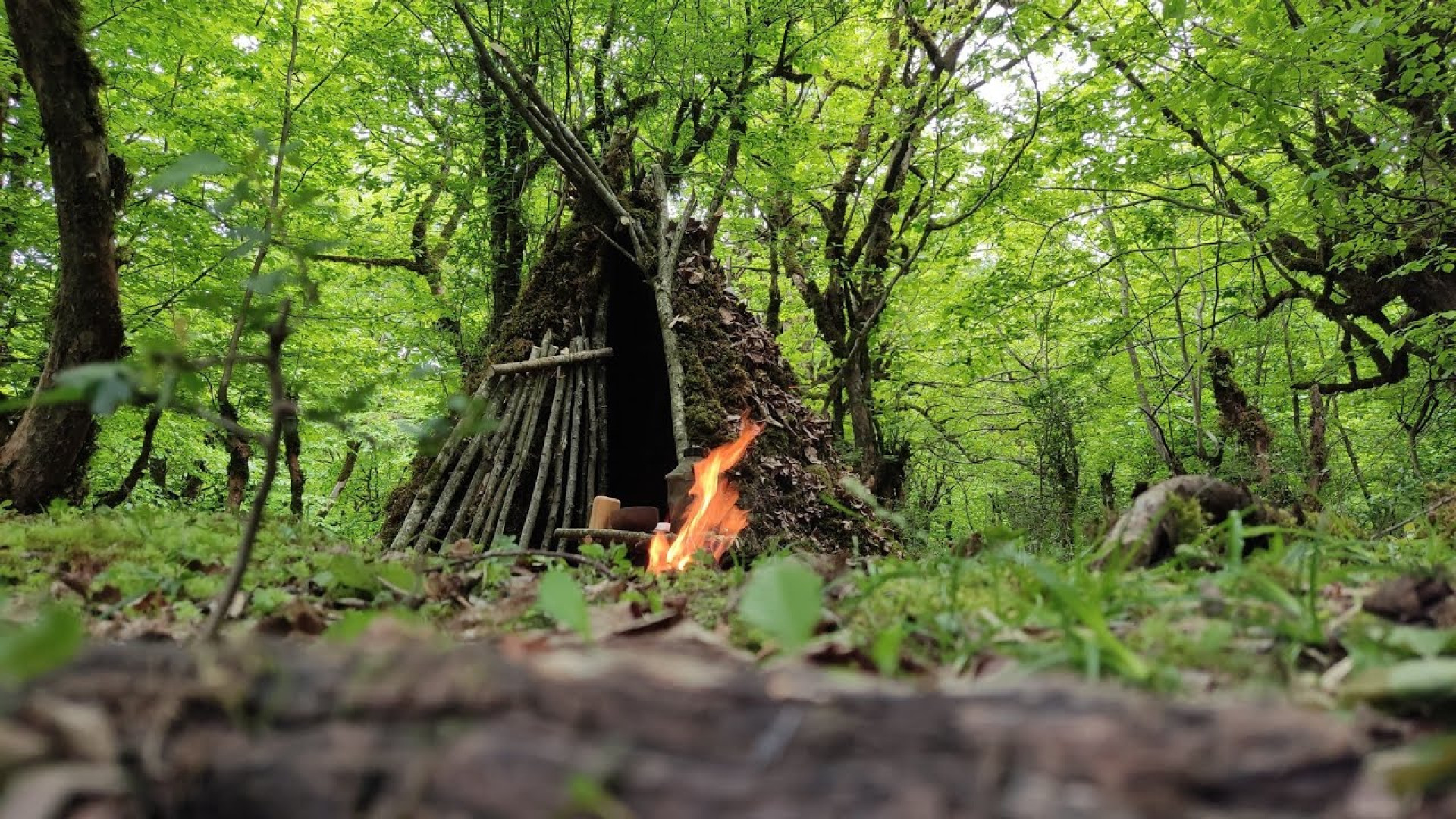 ساختن پناهگاه چوبی بوشکرافت در...