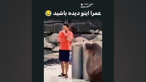 عمرا اینو دیده باشید