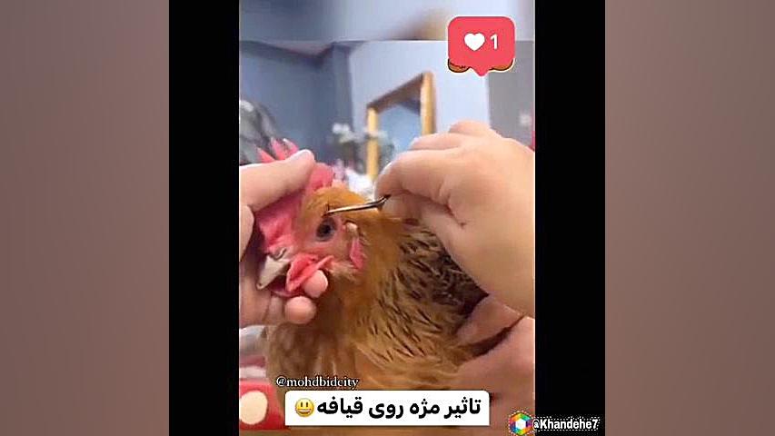 تاثیر مژه روی قیافه