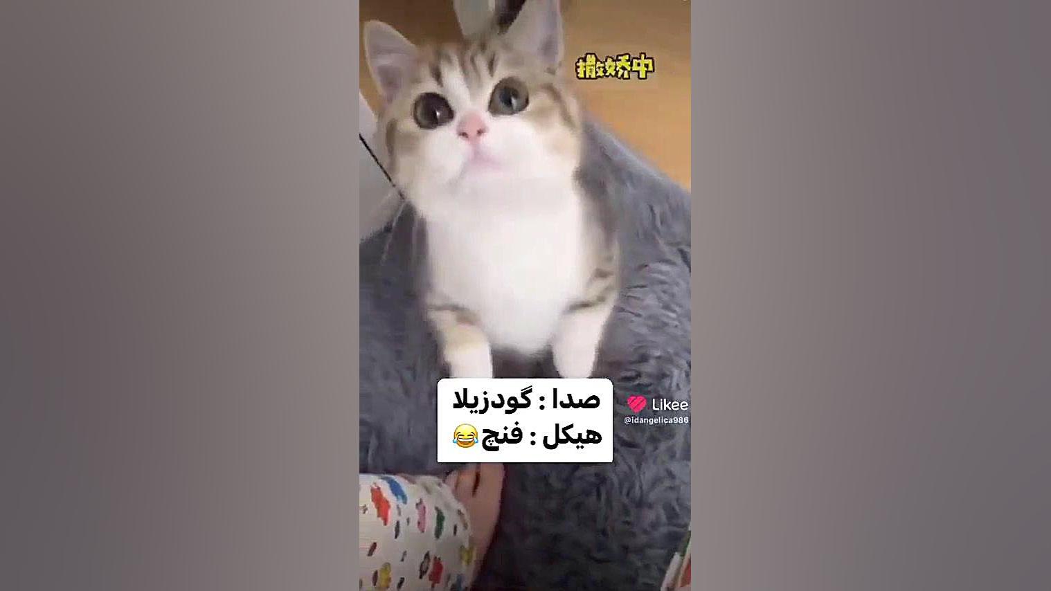 لایک فالو فراموش نکنید باتشکر