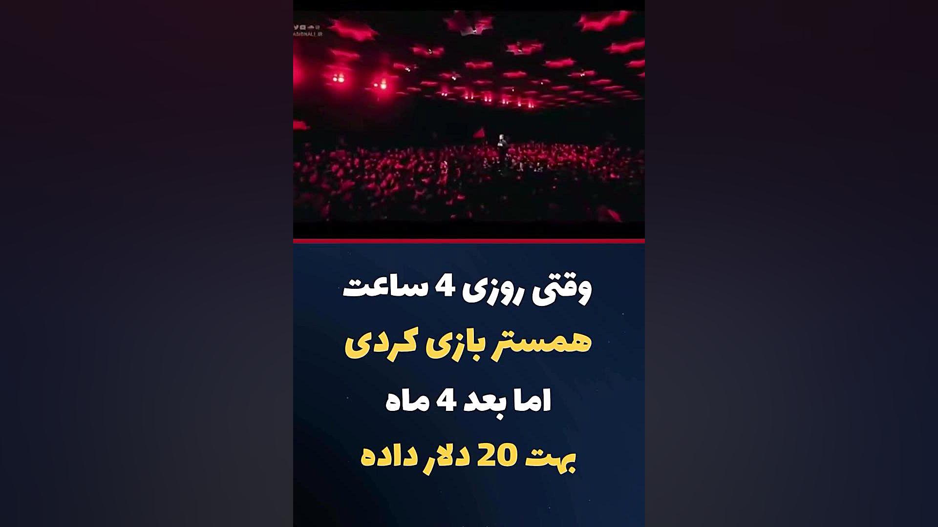 وقتی روزی ۴ ساعت همستر بازی می...