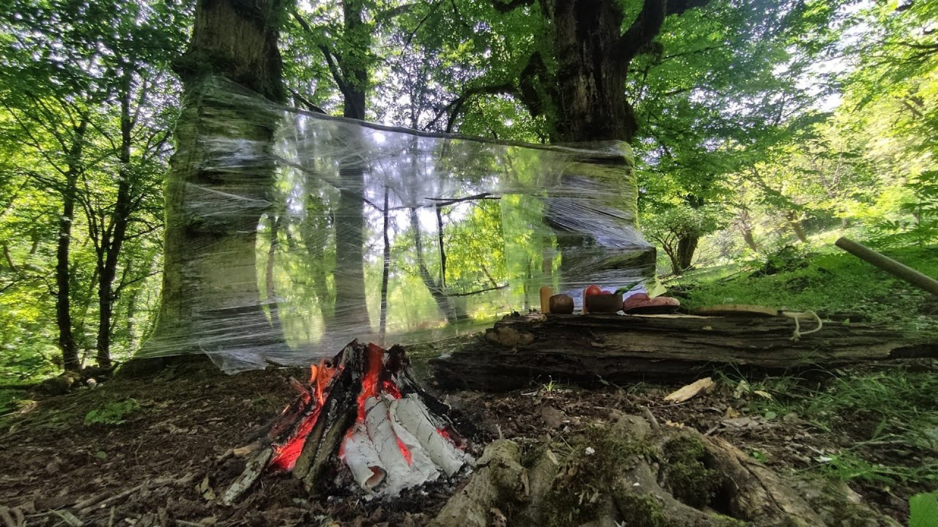 پناهگاه بقا با پوشش پلاستیکی د...